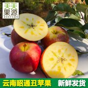 云南昭通苹果5斤装冰糖心丑苹果红富士