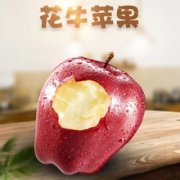天水花牛苹果 代发3斤9斤新鲜应季水果甜糯红蛇果