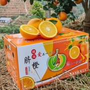 橙新鲜维C水果批发应季VC精品礼盒橙